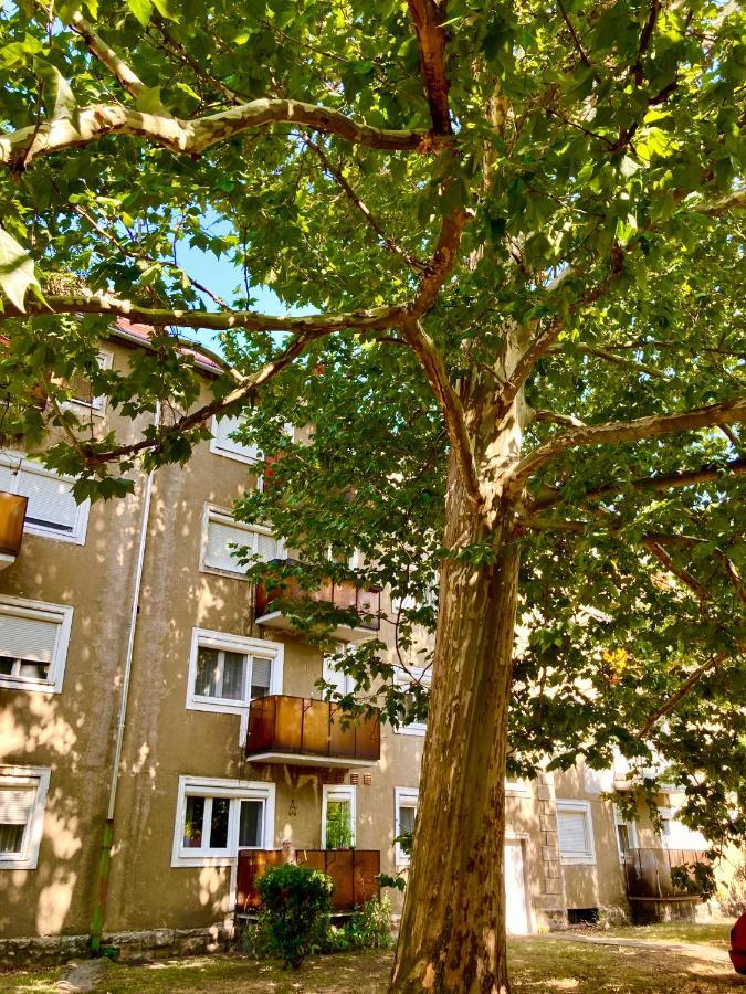 Esther Apartman Tatabánya Extérieur photo